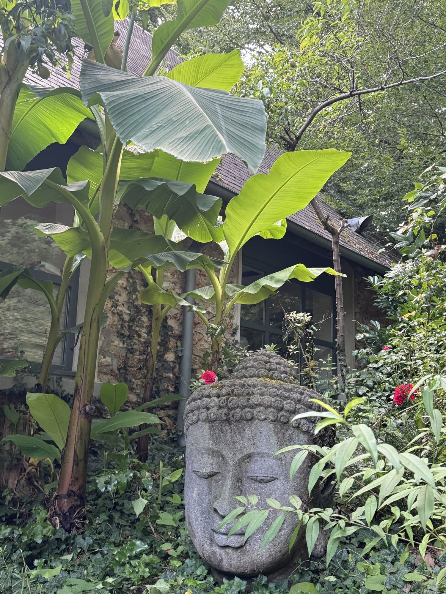 Tête de Bouddha et bananiers dans la cour privée