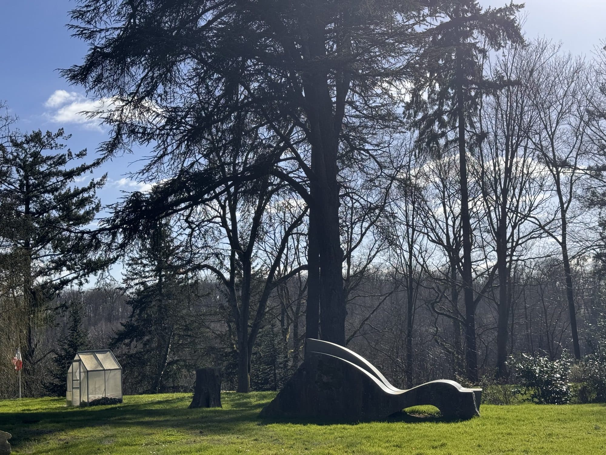 Les supports de rêve en granit sous les pins