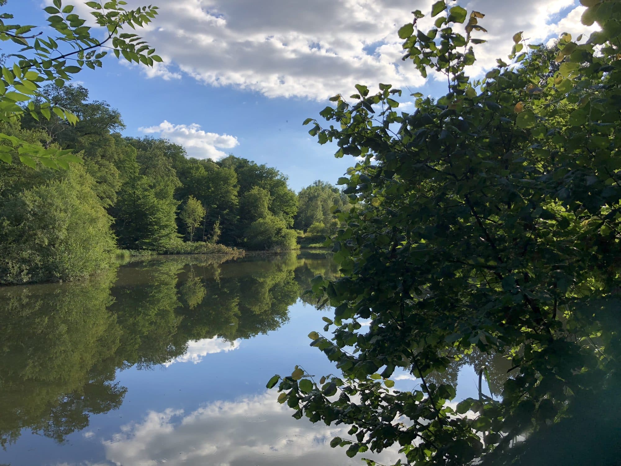Reflets sur le lac