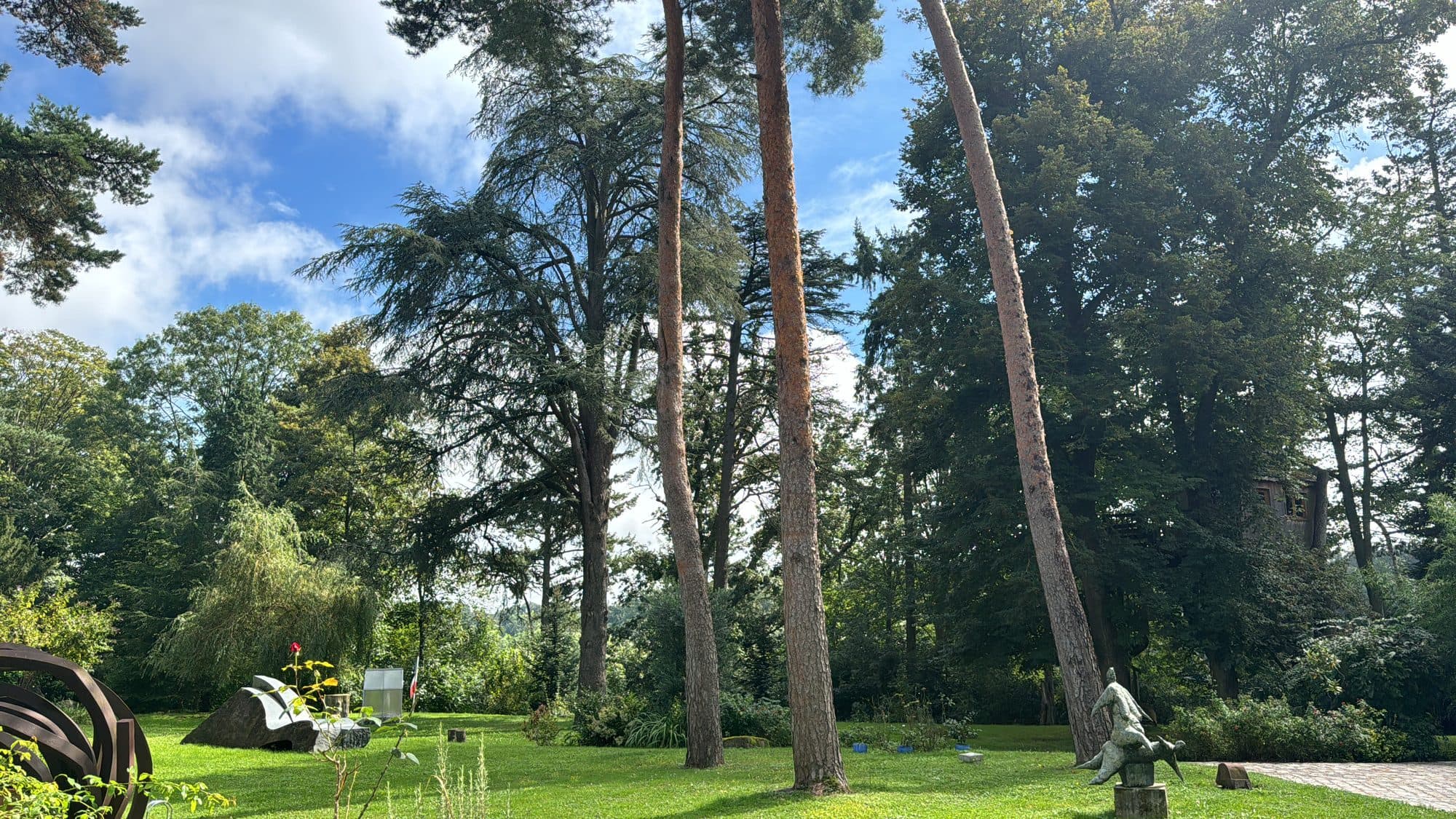 Vue sur la forêt privée