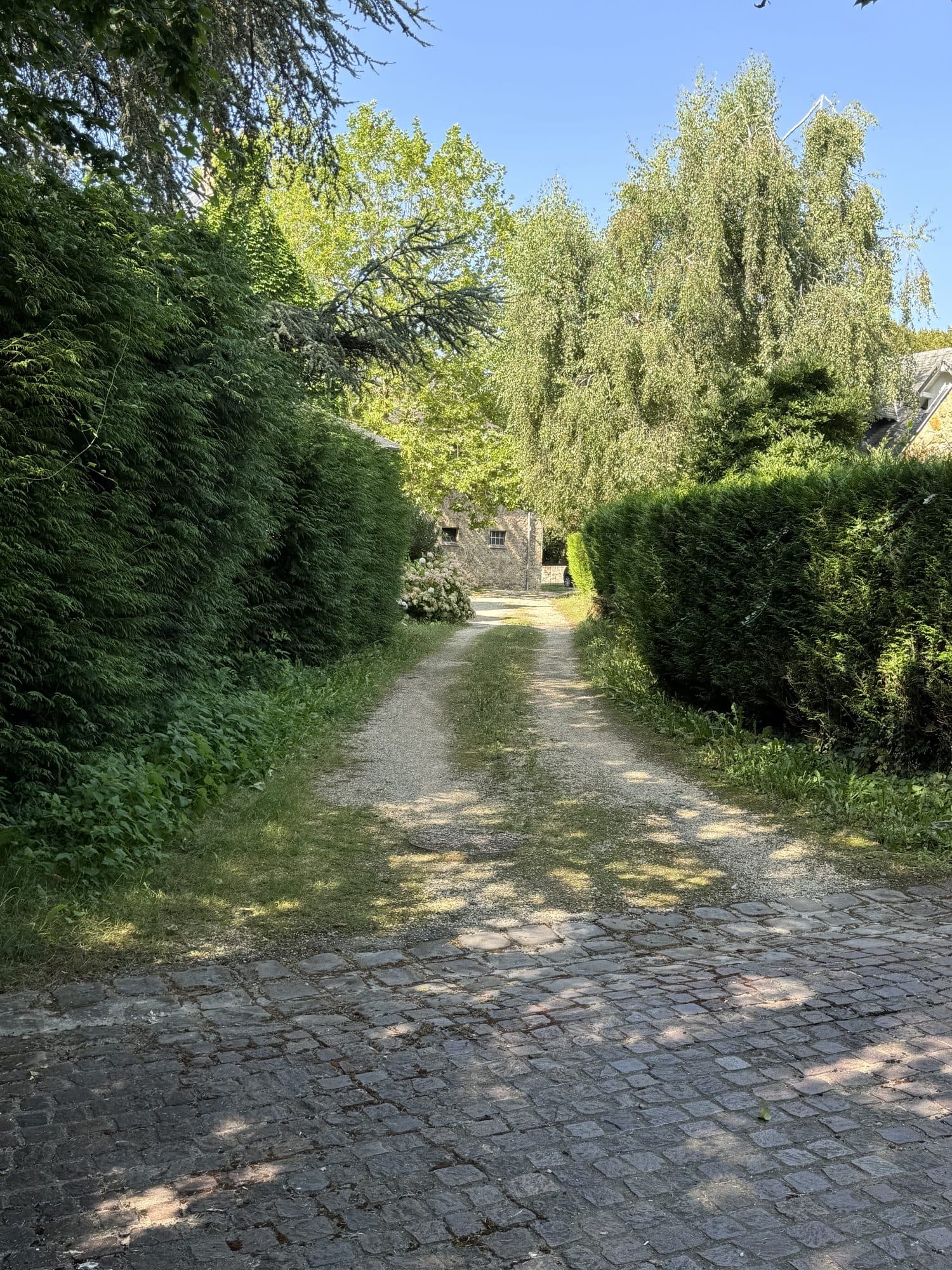 Le chemin pavé vers la forêt