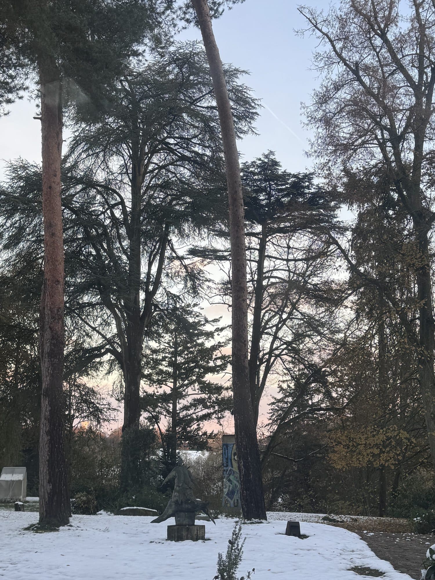 Les arbres séculaires