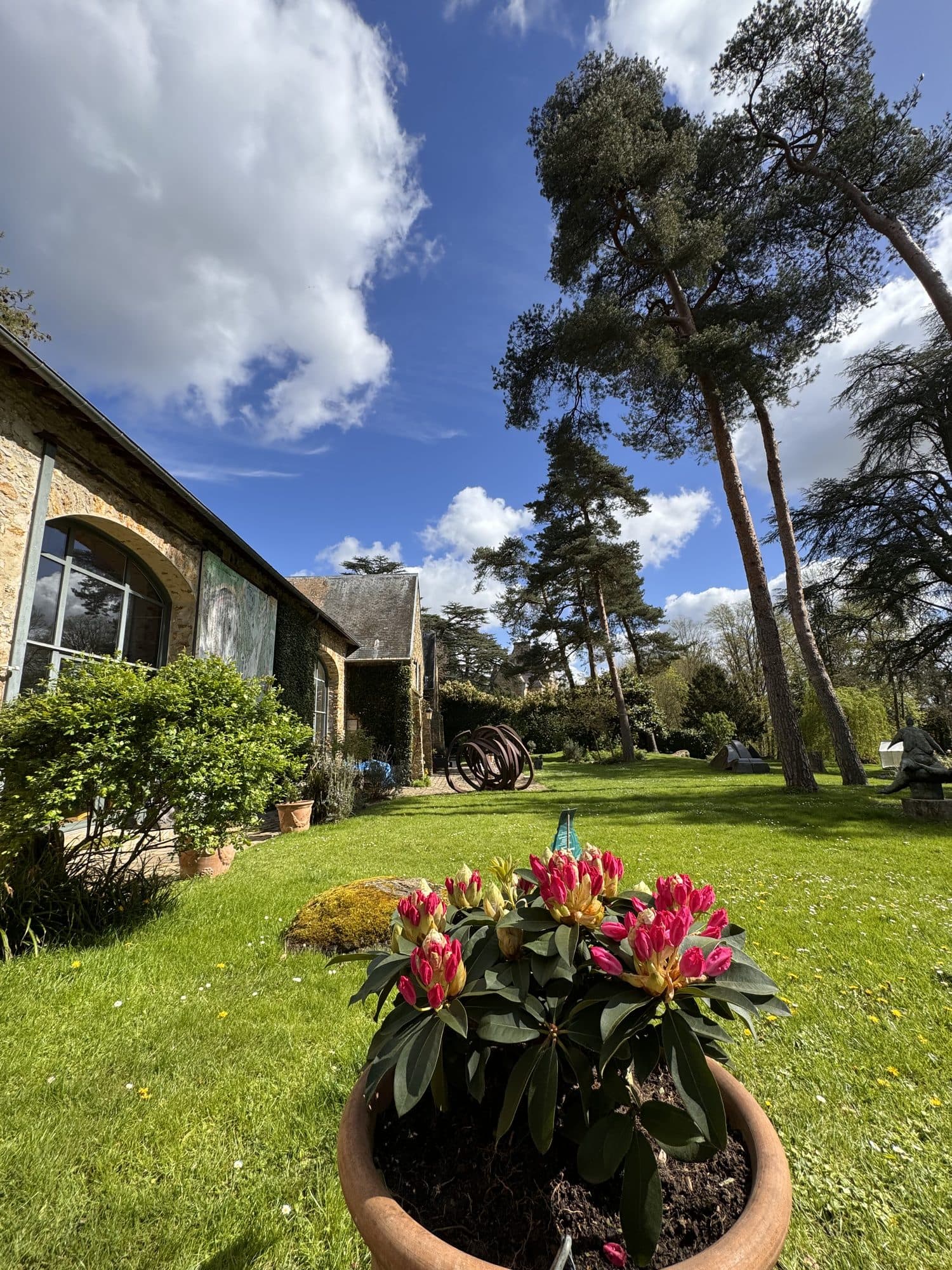 La maison et les pins depuis la pelouse