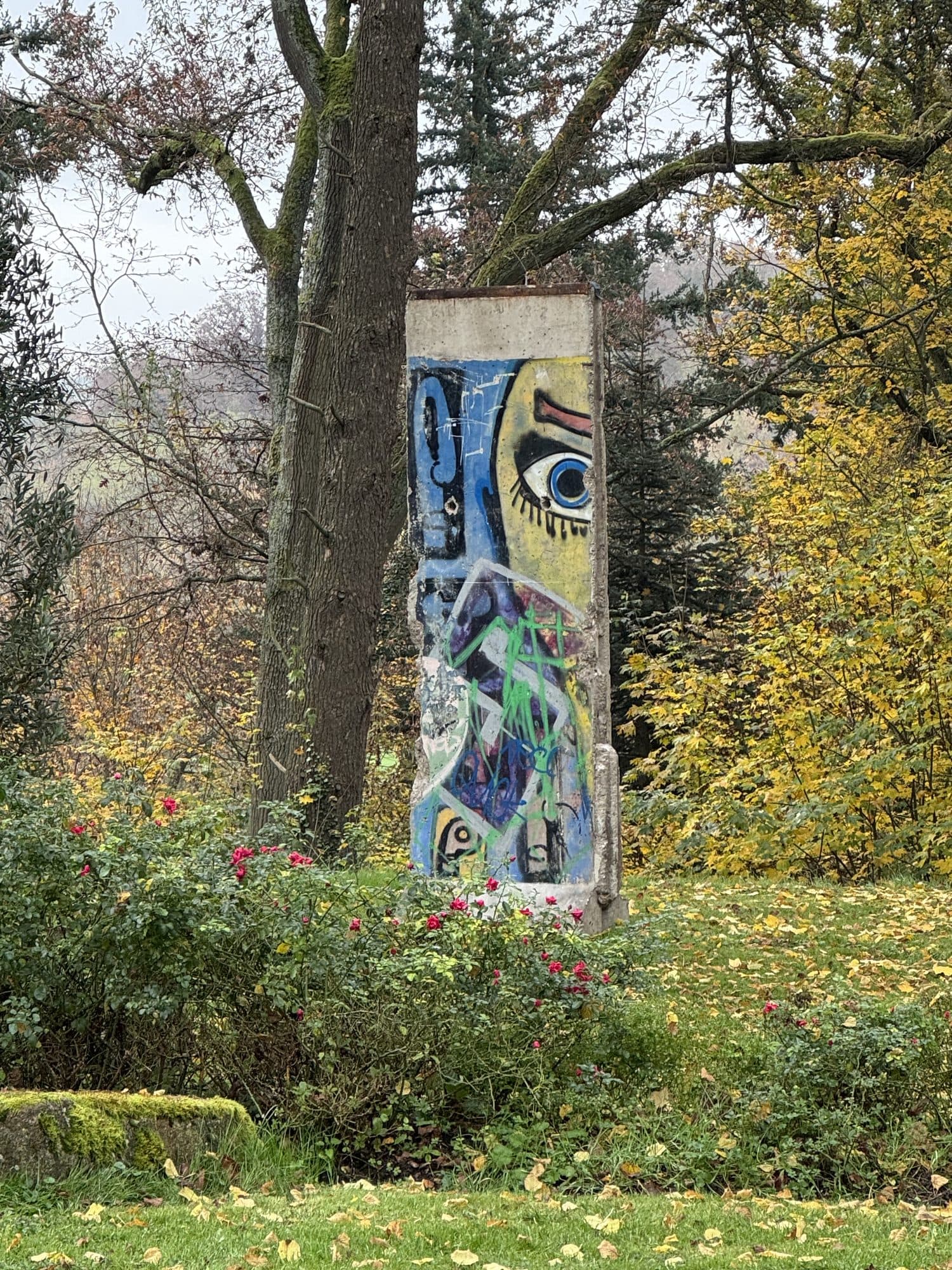 Un morceau du mur de Berlin sous les pins