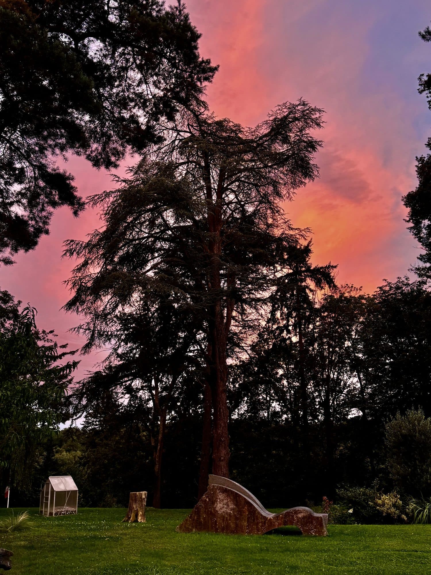Ciel embrasé au-dessus du parc